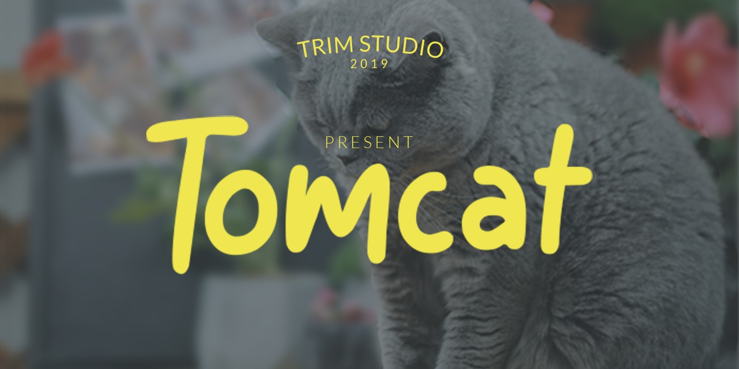 Пример шрифта Tomcat #1